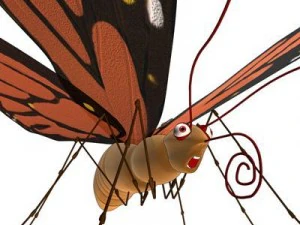 butterfly cartoon 3D Model