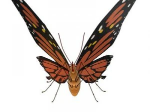 butterfly cartoon 3D Model