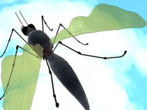 mosquito cartoon 3D Model