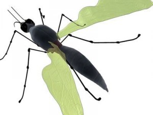 mosquito cartoon Modelo 3D
