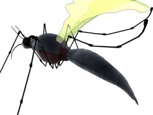 mosquito cartoon Modelo 3D