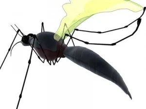 mosquito cartoon 3D Model