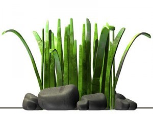 grass cartoon 3D-Modell