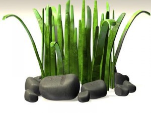 grass cartoon 3D-Modell