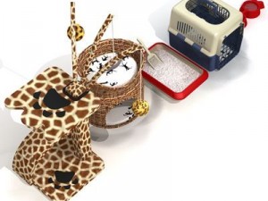 cat set Modelo 3D