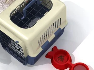 cat set 3D Model