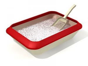 litter Model 3D