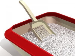 litter Modelo 3D