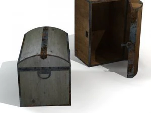 old trunk 3D Model