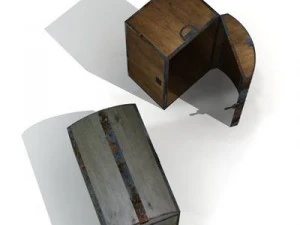 old trunk 3D Model
