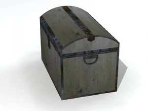 old trunk 3D Model