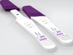 pregnancy test 3D Model