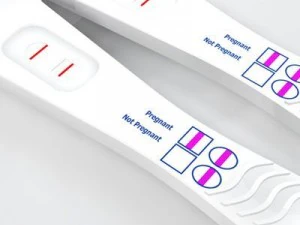pregnancy test 3D Model