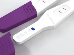 pregnancy test 3D Model