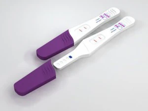 pregnancy test 3D Model