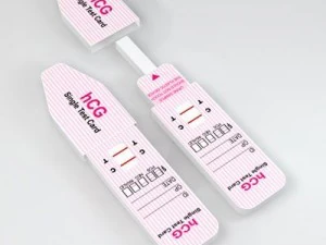 test di gravidanza 2 Modello 3D