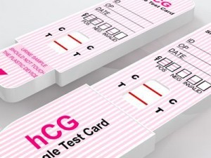 pregnancy test 2 3D 模型
