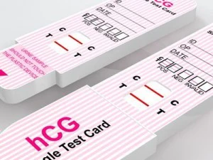 pregnancy test 2 3D Model