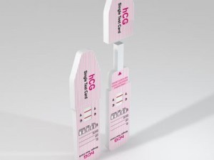 pregnancy test 2 3D 模型