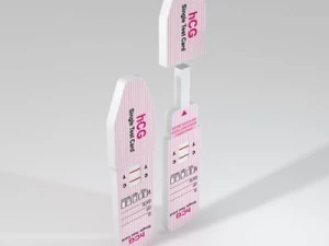 pregnancy test 2 3D Model