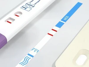 pregnancy test 3 3D Model