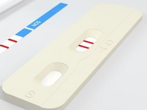 pregnancy test 3 Modelo 3D