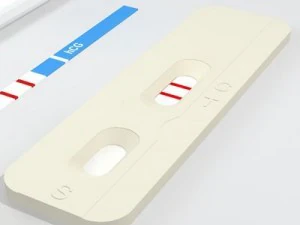 pregnancy test 3 3D Model