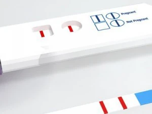 pregnancy test 3 3D Model
