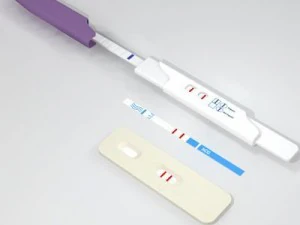 pregnancy test 3 3D Model