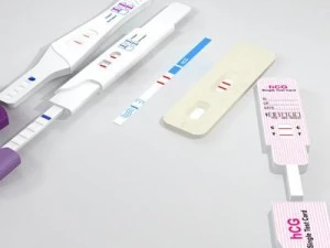pregnancy test 4 3D Model