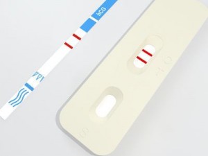 pregnancy test 4 3D Model