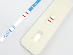 pregnancy test 4 3D Model