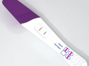 pregnancy test 4 3D Model