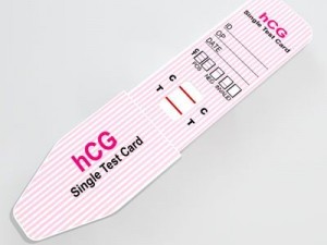 pregnancy test 4 3D Model