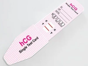 pregnancy test 4 3D Model