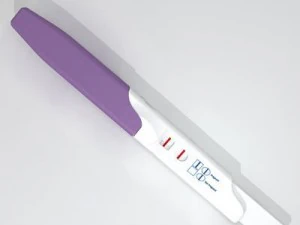 pregnancy test 4 3D Model