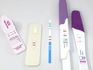 pregnancy test 4 3D Model