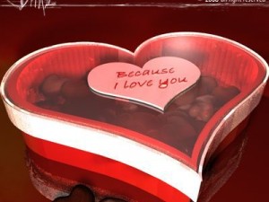 chocolates box 3D 모델