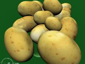 potatoes 3D Model