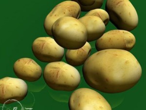 potatoes Model 3D