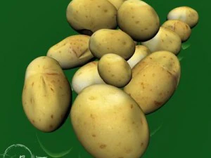 potatoes 3D Model