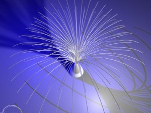 fiber optics 3D 模型