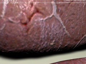 meat Modelo 3D
