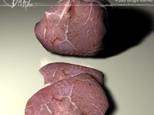 meat Modelo 3D