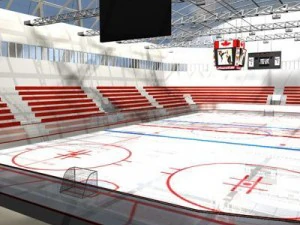 hockey stadium 3D Model