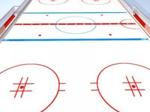 hockey field Modello 3D