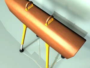 gymnastics pommel horse 3D Model