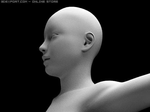 woman 3D Model .c4d .max .obj .3ds .fbx .stl .blend 