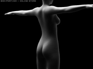 woman 3D 模型
