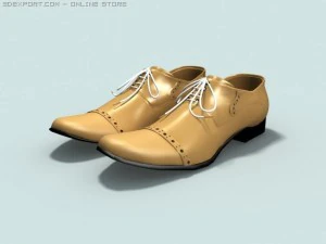 shoes 3D Model
